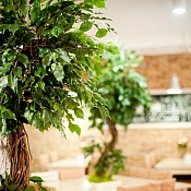 Ресторан «Бейкери дю солей»  , Минск - фото 1