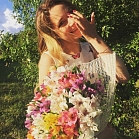 Ленточка Цвирко