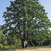 Фотограф Игорь Маркевич, Минск - фото 3