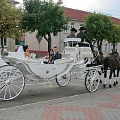 Аренда Королевская свадебная карета  , Минск - фото 3