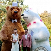 Шоу танцующих медведей Medvedoff, Минск - фото 2