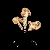 Robert Mikhailiuk, Минск - фото 3