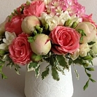 Анастасия Новицкая