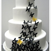 The Snack Studio   - свадебные торты, Минск - фото 1