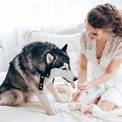 Свадебный организатор Вероника Такушевич, Минск - фото 3