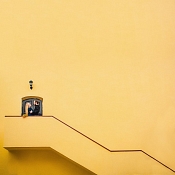 Фотограф Даша Мурашко, Минск - фото 1