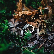 Фотограф Александр Тривашкевич, Минск - фото 1