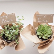 Свадебный организатор Наталья Бабарика, Минск - фото 2