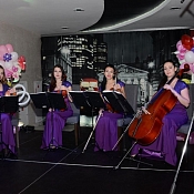 Брюнет Квартет, Минск - фото 1