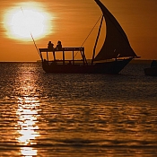 Фотограф Алена  Табола, Минск - фото 2