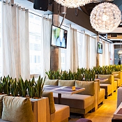 Ресторан «Terra pizza (Терра пицца)»  , Минск - фото 1