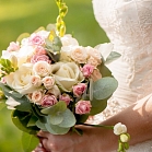 Светлана Носорева