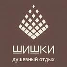 «Шишки»  
